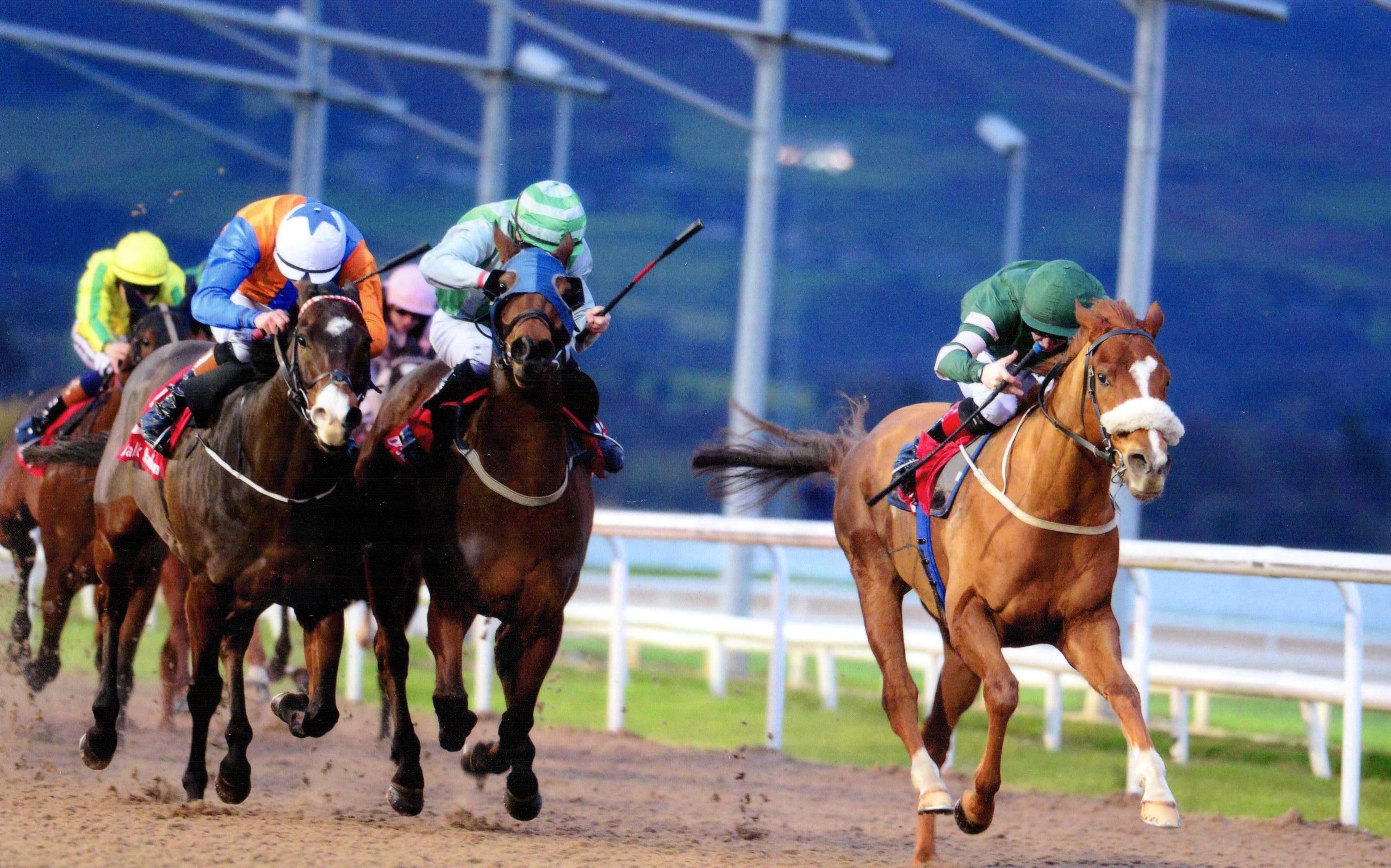 SILK CRAVAT wins 6f handicap Dundalk 6th December 2017